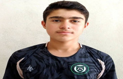 هادی گلرو