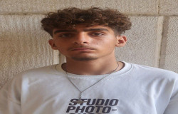 محمدحسین عبداللهی