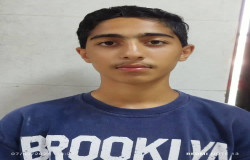 محمد مهدی مددزاده