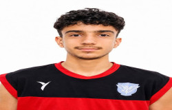 سوشیانت گراوند