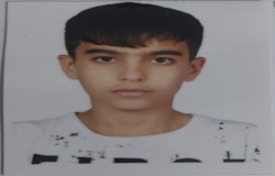 امیر رضا میرآخورلی