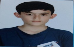 آریان سارمانلو