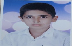 امیرمحمد بلبل وند