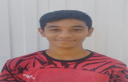 محمد گودرزی