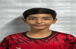 مهراد ناطقی