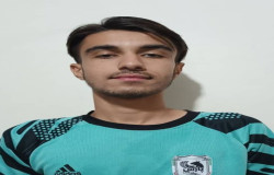 امیر محمد قرجه لو