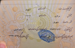 تینا طالب خانی