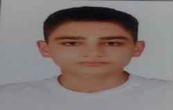 علی اکبر ولی زاده