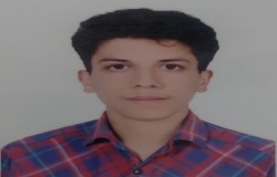 محمد صادق ارفعی