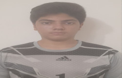 امیر رضا گیوکی