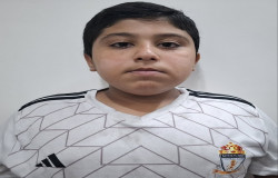 محمد حسین میرگلو