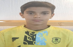 امیررضا همیوند