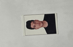 حامد محمدی فلاح