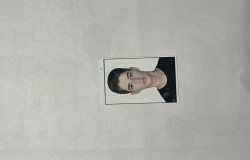 سید آریا حسینی نژادیان