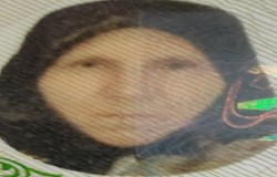 فرنگیز بهبود