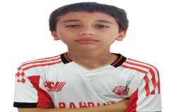 محمد حسین بیهقی