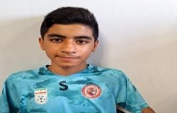 محمد مهدی پهلوان