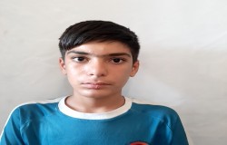 محمد مهدی سپهری دولانفر