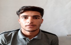 فردین بحری
