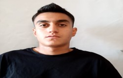 علی مصیبی