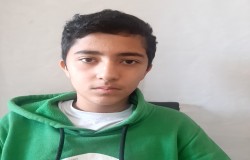 محمدامین حسینی