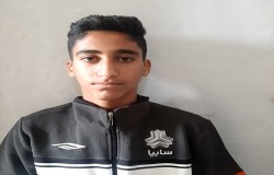 محمدرضا صالحی