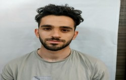آریا حکمت