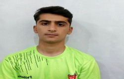 مهدی دیندار یالقوز آغاج