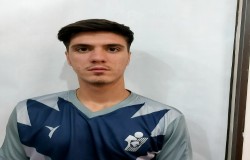 مبین دهقان