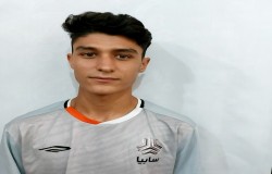 سید مهدی مهدوی