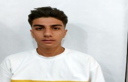 محمد مهدی انصاری