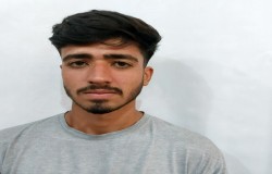 محمد مهدی تربیت