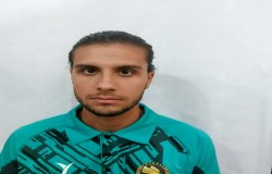 نیما ابراهیمی