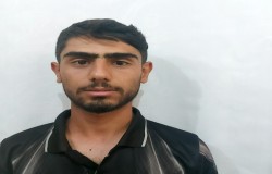 مهرشاد محمدی کل کشوندی