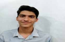ایلیا طالبی