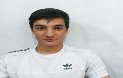 ایلیا هنرمند