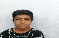 محمد حسن اسفند مز