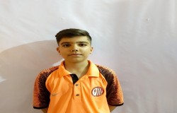 محمدمهدی مددی