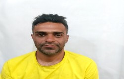 وحید حمیدی