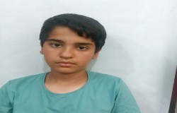 محمد پارسا یحیویی