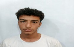 آریان داودی