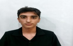 میکائیل واضعی