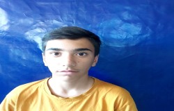 امیر علی حارث آبادی