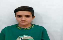 مهدی لشنی