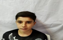 محمد رضا کریمی شالی