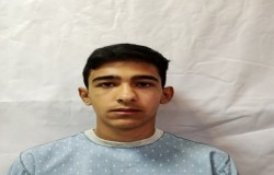 پرهام محمدی