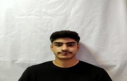 پویا اسمی