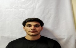 آرین حیدری