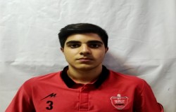 نيما ناصحي