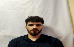 محمد مهدی داودی